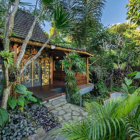 Parvati Retreat Villas Убуд Екстер'єр фото