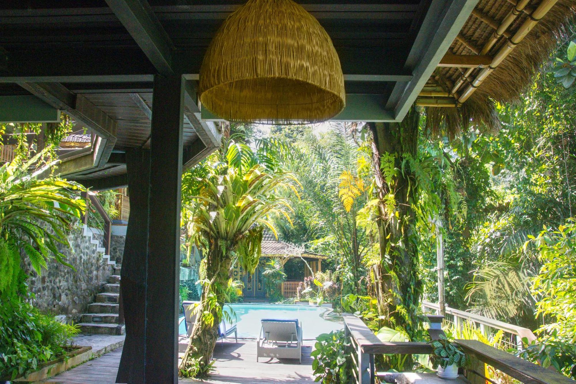 Parvati Retreat Villas Убуд Екстер'єр фото